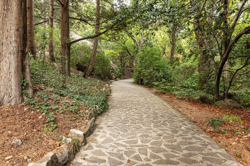Natural Stone Paver Pathway