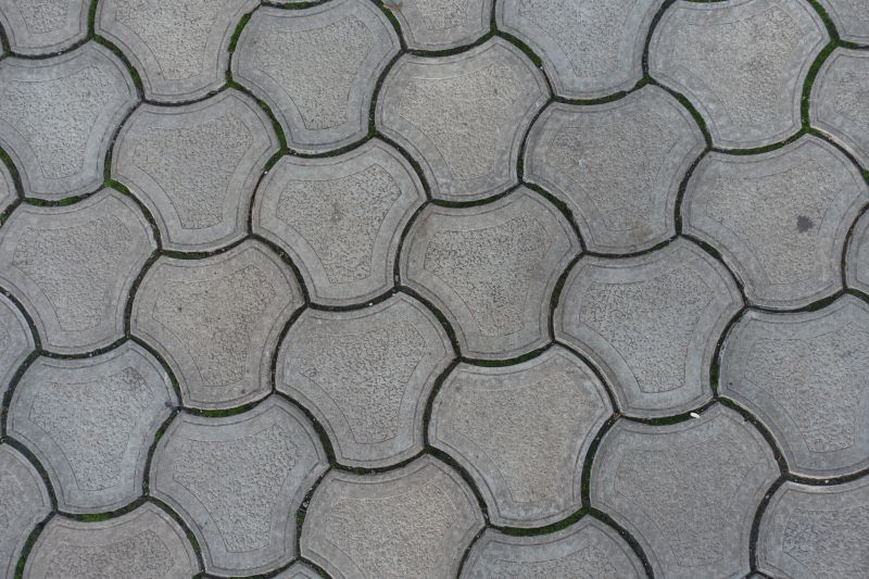 Polymeric Sand Paver Repair