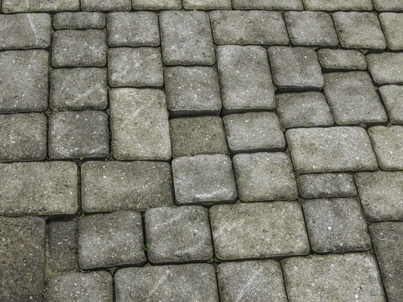 Polymeric Sand Paver Repair