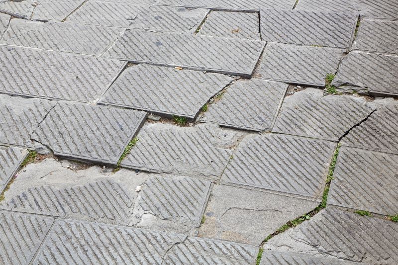 Damaged Paver Joints